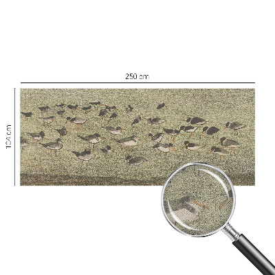 Papel de parede 3D Paz do pássaro