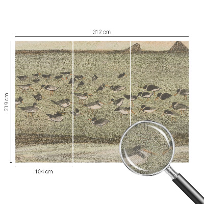 Papel de parede 3D Paz do pássaro