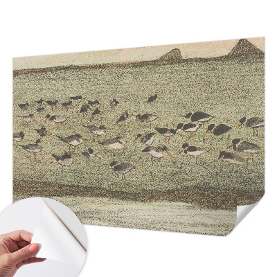 Papel de parede 3D Paz do pássaro