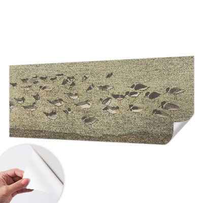 Papel de parede 3D Paz do pássaro