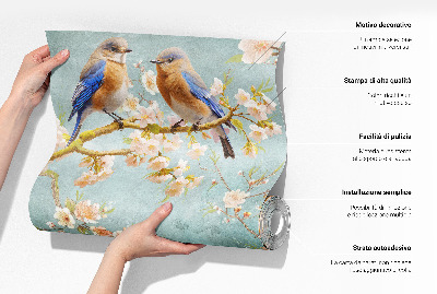 Papel de parede autocolante para quarto Céu pastel