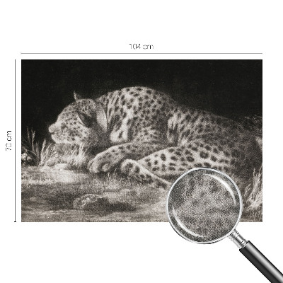 Papel de parede autocolante para quarto Leopardo descansando