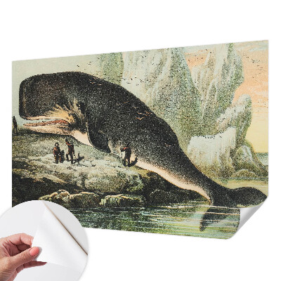 Papel de parede para criança com estampa de gigantismo marinho