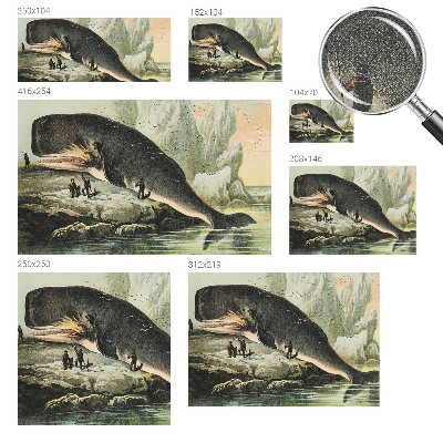 Papel de parede para criança Gigantismo marinho