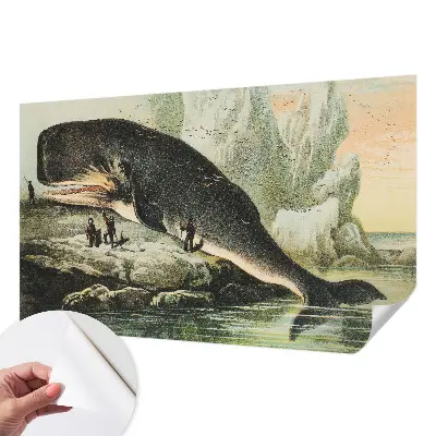 Papel de parede para criança com estampa de gigantismo marinho