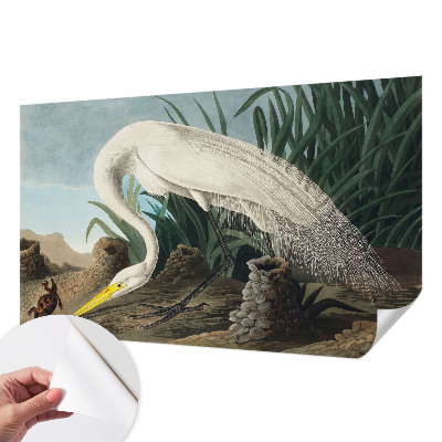 Papel de parede autocolante Garça majestosa