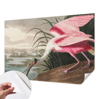 Papel de parede 3D com estampa de ave exótica