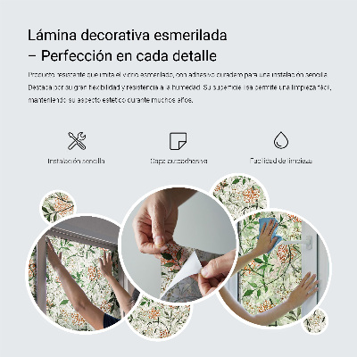 Vinil para vidro privacidade padrão vitral Simetria oval