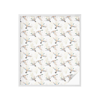 Película vidro janela privacidade Pássaros natureza