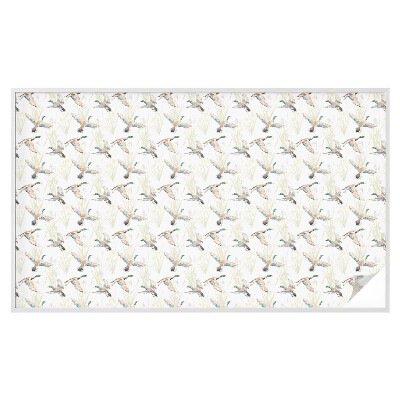 Película vidro janela privacidade Pássaros natureza