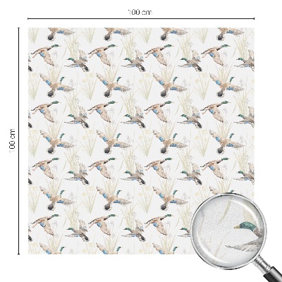 Película vidro janela privacidade Pássaros natureza