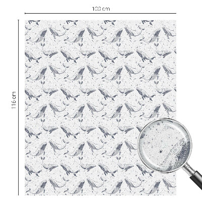 Película vidro janela privacidade criaturas marinhas