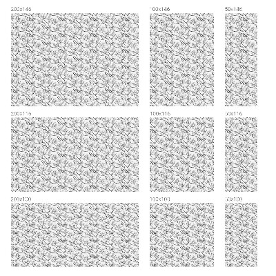 Película decorativa para janela privacidade Pássaros e flores