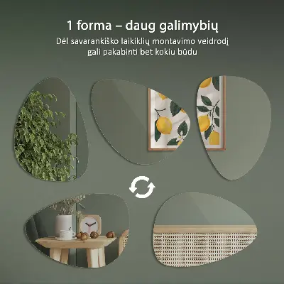 Espelho orgânico ovoide um toque moderno