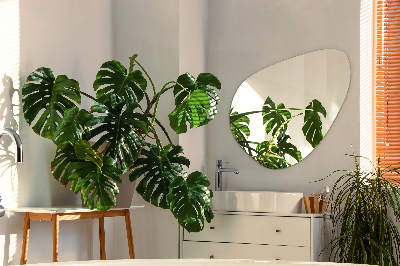 Espelho formato orgânico irregulares