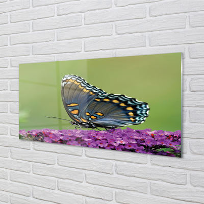 Quadro acrílico Borboleta colorida em flores