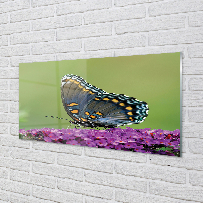 Quadro acrílico Borboleta colorida em flores