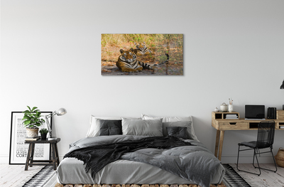 Quadro acrílico Tigres
