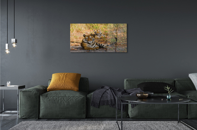 Quadro acrílico Tigres