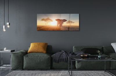 Pintura acrílica Nascer do sol na árvore elefante