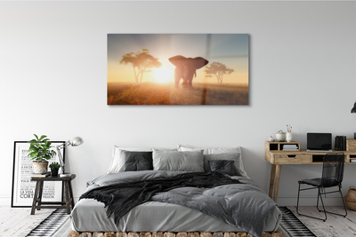 Pintura acrílica Nascer do sol na árvore elefante