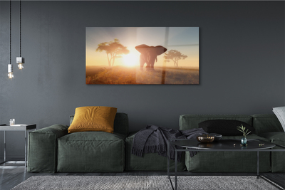 Pintura acrílica Nascer do sol na árvore elefante