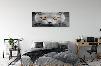 Pintura acrílica Gato britânico cinza