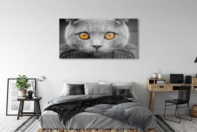 Pintura acrílica Gato britânico cinza