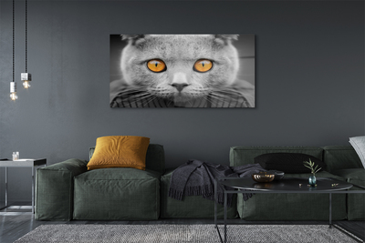Pintura acrílica Gato britânico cinza