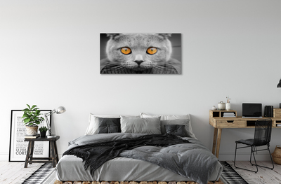 Pintura acrílica Gato britânico cinza