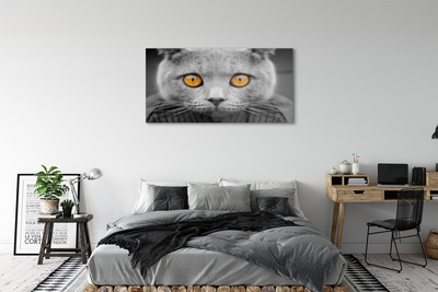 Pintura acrílica Gato britânico cinza