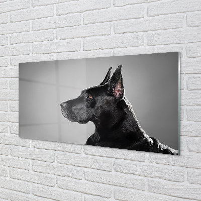 Quadro acrílico Cachorro preto
