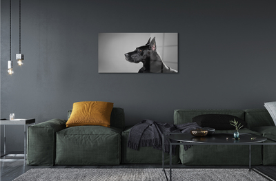 Quadro acrílico Cachorro preto