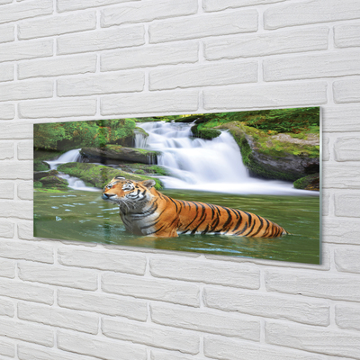 Quadro acrílico Cachoeira do Tigre