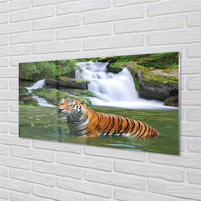 Quadro acrílico Cachoeira do Tigre