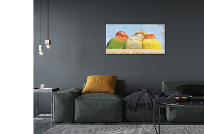 Pintura acrílica Papagaios coloridos