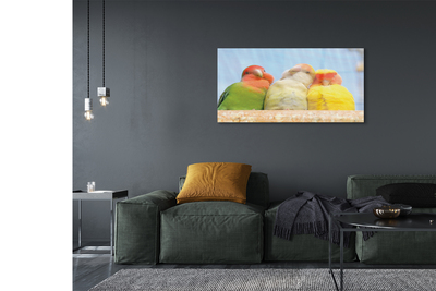 Pintura acrílica Papagaios coloridos