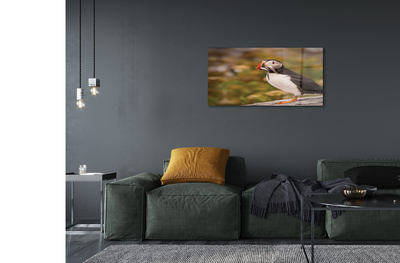 Quadro acrílico Papagaio