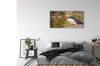 Quadro acrílico Papagaio