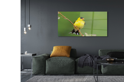 Pintura acrílica Papagaio amarelo