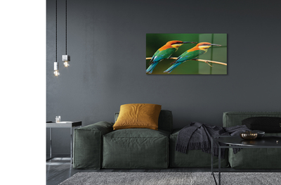 Quadro acrílico Papagaios coloridos em um galho