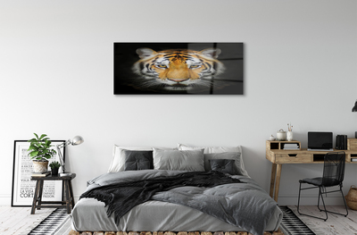 Pintura acrílica Tigre