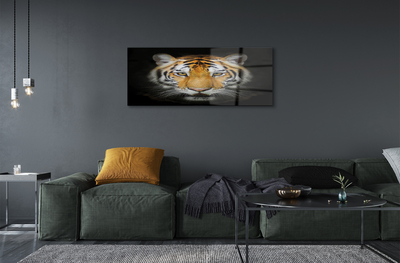 Pintura acrílica Tigre
