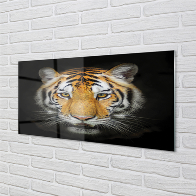 Pintura acrílica Tigre