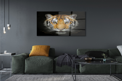 Pintura acrílica Tigre