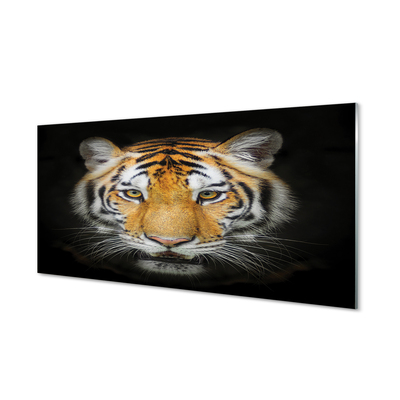 Pintura acrílica Tigre