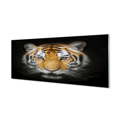 Pintura acrílica Tigre