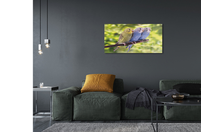 Pintura acrílica Papagaios coloridos em um galho