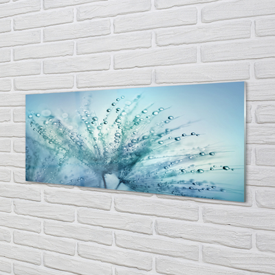 Pintura acrílica Macro de gotas de dente-de-leão