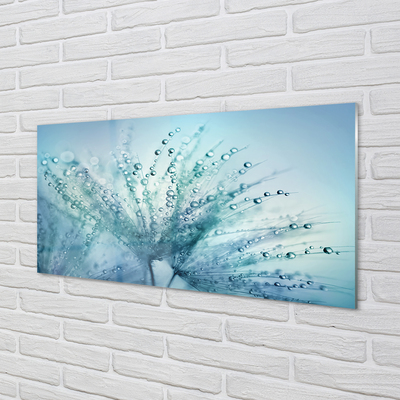 Pintura acrílica Macro de gotas de dente-de-leão